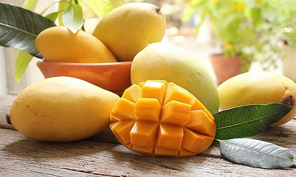 Các Loại Cây Xoài Ngon Được Trồng Nhiều Ở Nước Ta