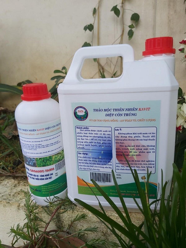 Thân thiện với môi trường và quy trình sản xuất đơn giản