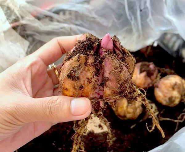 Những tiêu chuẩn về nhiệt độ bảo quản trong kho lạnh