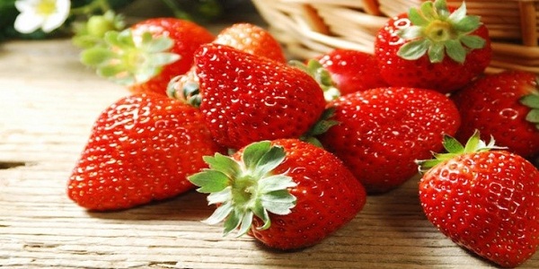 Hướng Dẫn Cách Bảo Quản Dâu Tây Đà Lạt