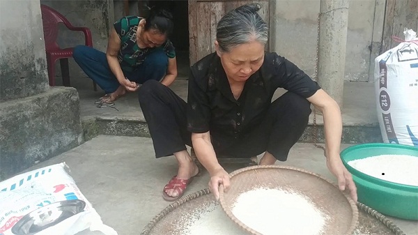 Sàng gạo nhẹ nhàng để những con mọt rơi xuống và đem đi phơi chỗ râm mát