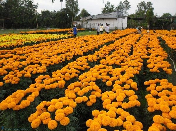 Nên tưới nước thường xuyên và tưới nhẹ để cây con không bị xây xát