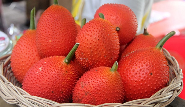 Phòng trừ sâu bệnh hại sớm cho cây giúp cây phát triển tốt