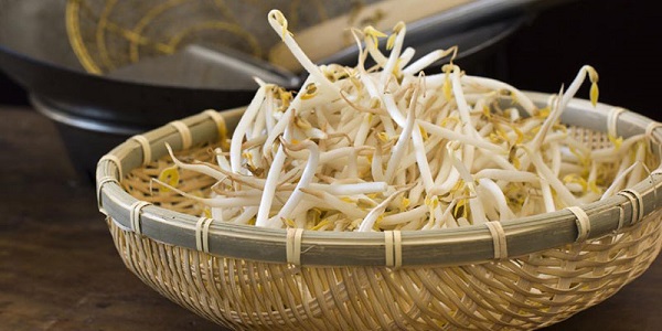 Sau vài ngày giá sẽ mọc dài và trắng ngần, lúc này chúng ta sẽ thu hoạch giá