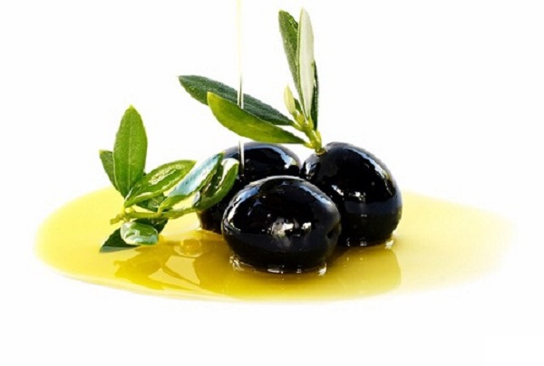 Cách Trồng Olive Phát Triển Mạnh Và Cho Nhiều Trái