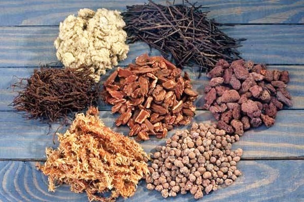 Việc chọn giá thể để trồng lan phi điệp đóng vai trò rất quan trọng