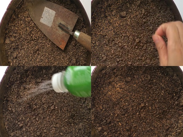 Đất trồng rau xà lách phải đảm bảo đủ độ tơi xốp