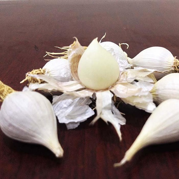 Diệt trừ sâu bệnh hại một cách triệt để để cây phát triển tốt nhất