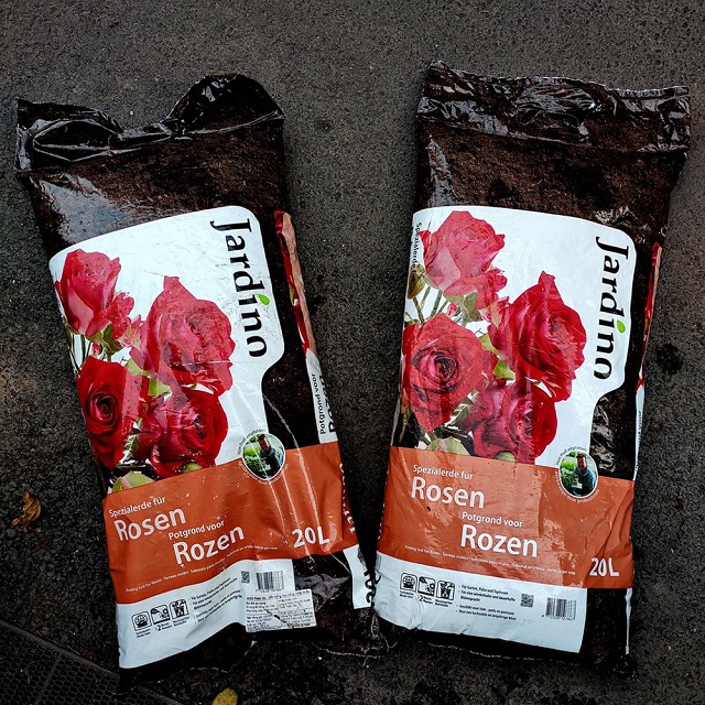 Đất Trồng Hoa Hồng Jardino Và Những Điều Bạn Chưa Biết