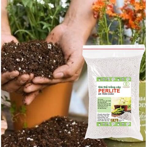 Các giá thể hữu cơ phối trộn cũng đất đều phải xử lý