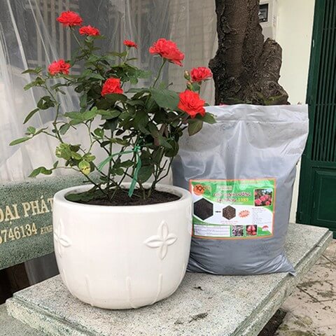 Đất và giá thể hữu cơ đều có thể mua sản phẩm đóng gói bán sẵn