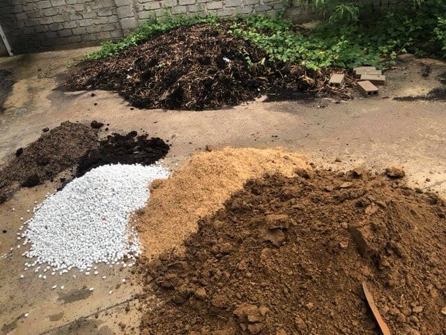 Bật mí bí kíp xử lý đất trồng hoa hồng hiệu quả nhất