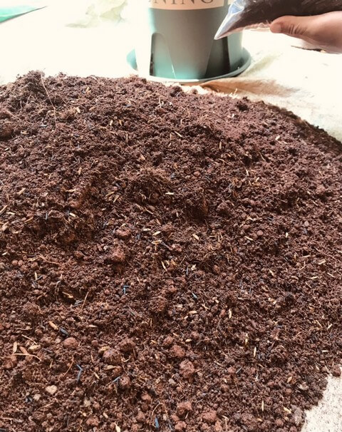 Tự trộn đất trồng tại nhà cần tận dụng các nguyên liệu hữu cơ có sẵn
