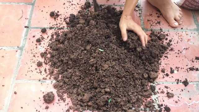 5 điều bạn cần nhớ nếu muốn pha đất trồng hoa hồng chất lượng