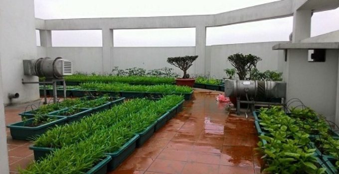 xu-ly-tran-bi-nut-va-chong-tham-de-trong-rau-2