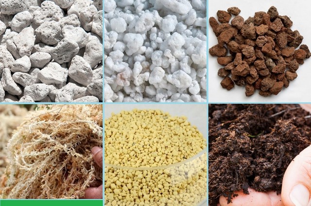 Các loại giá thể có thể dùng cải tạo đất sét trồng hoa hồng