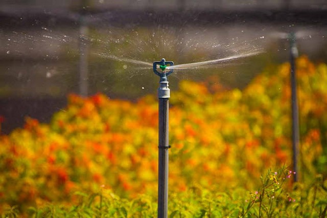 Đánh giá ưu, nhược điểm riêng của từng loại béc tưới nông nghiệp