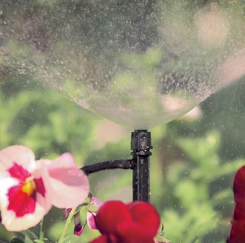 Béc tưới phun mưa đang được sử dụng nhiều nhất ở nước ta