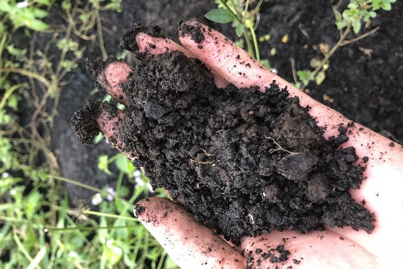 Cải tạo đất bạc màu bằng than bùn