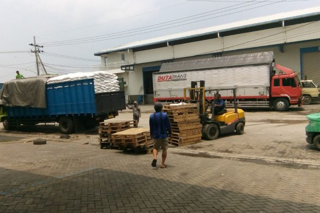 ĐÁ BỌT PUMICE ANEKA BERKAT ALAM