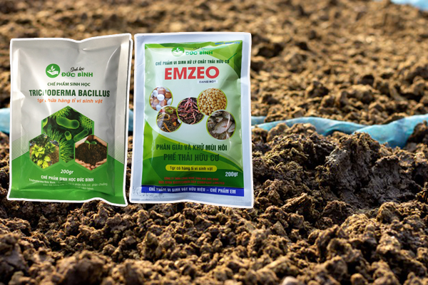 Bí kíp ủ phân bò vi sinh bằng chế phẩm sinh học không phải ai cũng biết 3