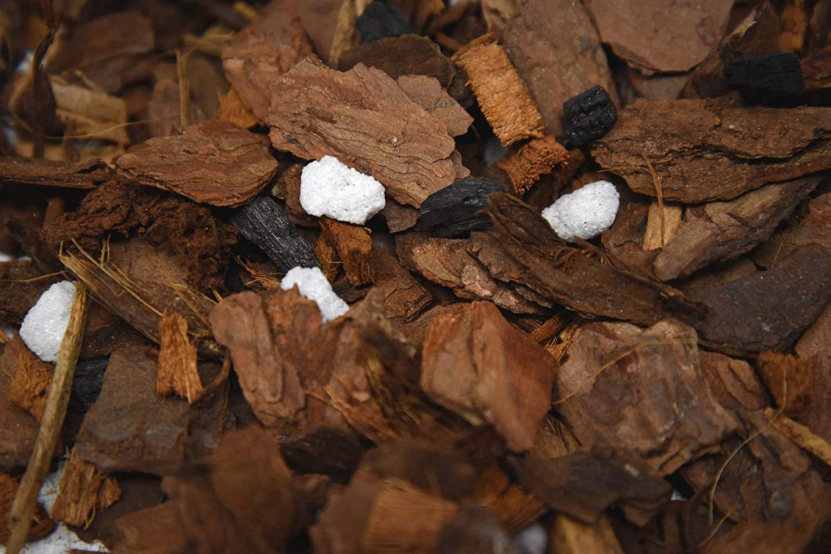 Bật mí ưu điểm của vỏ thông trồng lan 2