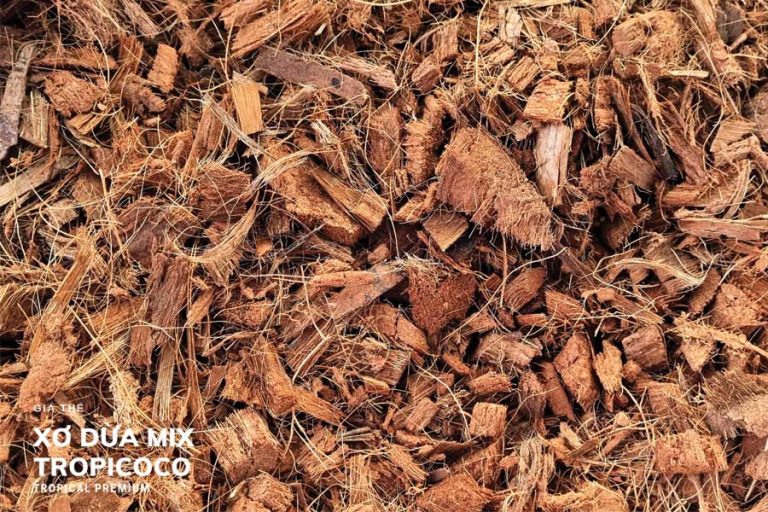 Cách cải tạo đất bằng xơ dừa cực đơn giản cho nhà vườn 1