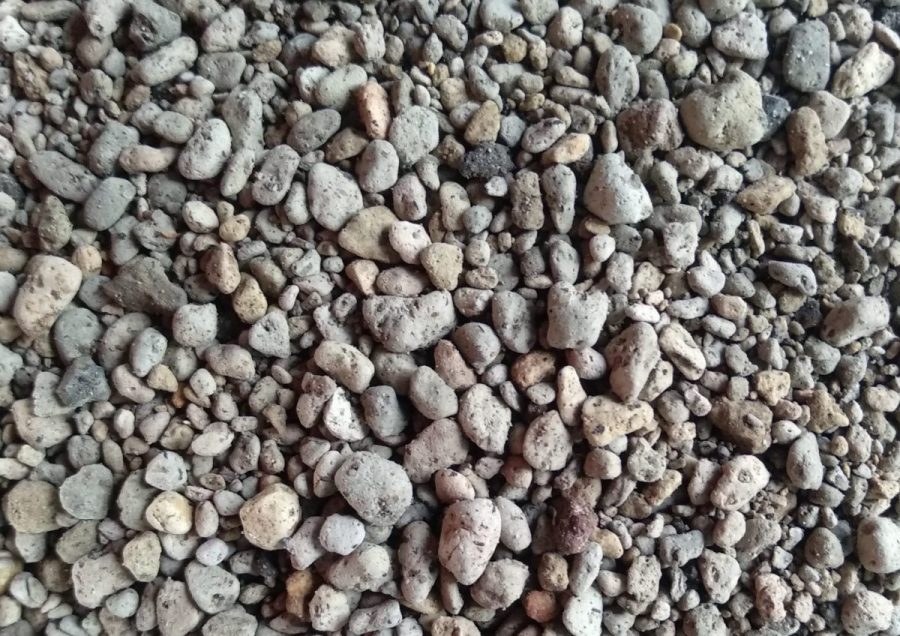 Dùng đá Pumice trồng hoa hồng xinh yêu cho khu vườn 1