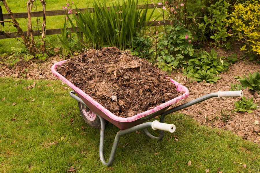 Hé lộ bí kíp xử lý phân bò tươi bằng phương pháp ủ nguội