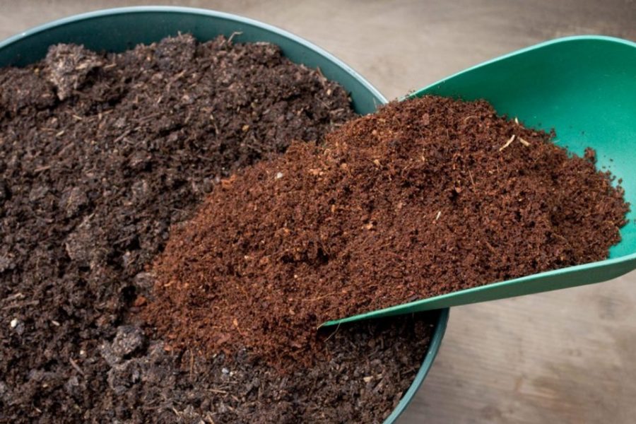 Những ứng dụng của xơ dừa trong nông nghiệp ngày nay