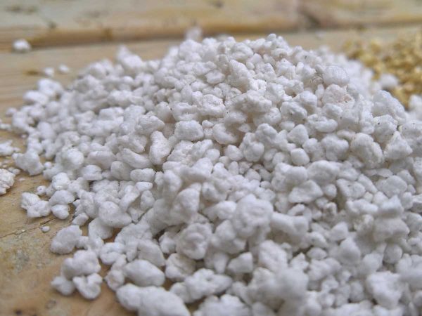 Phối đá Perlite trồng sen đá xinh yêu cho mọi tín đồ 3