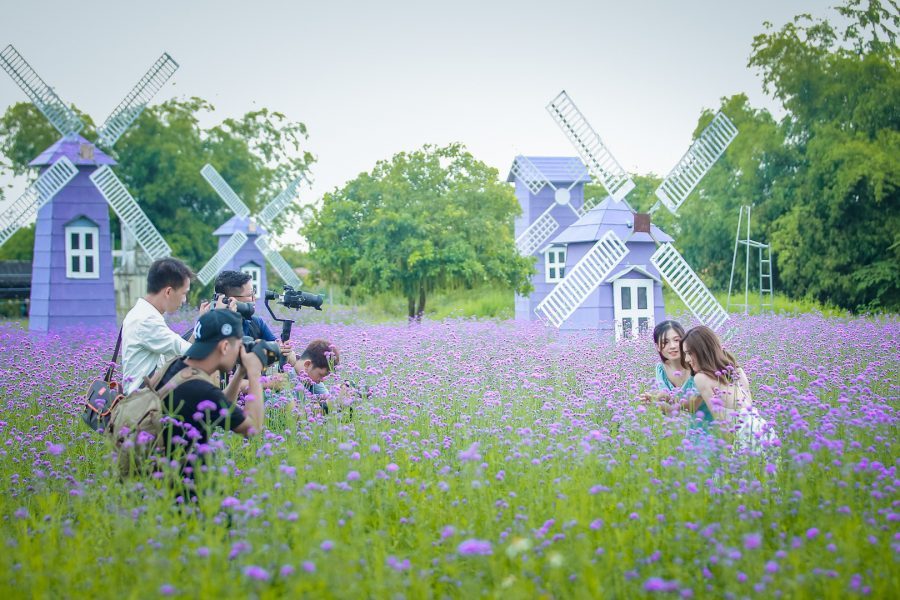 Trộn đất trồng cây hương thảo cực đơn giản, hiệu quả