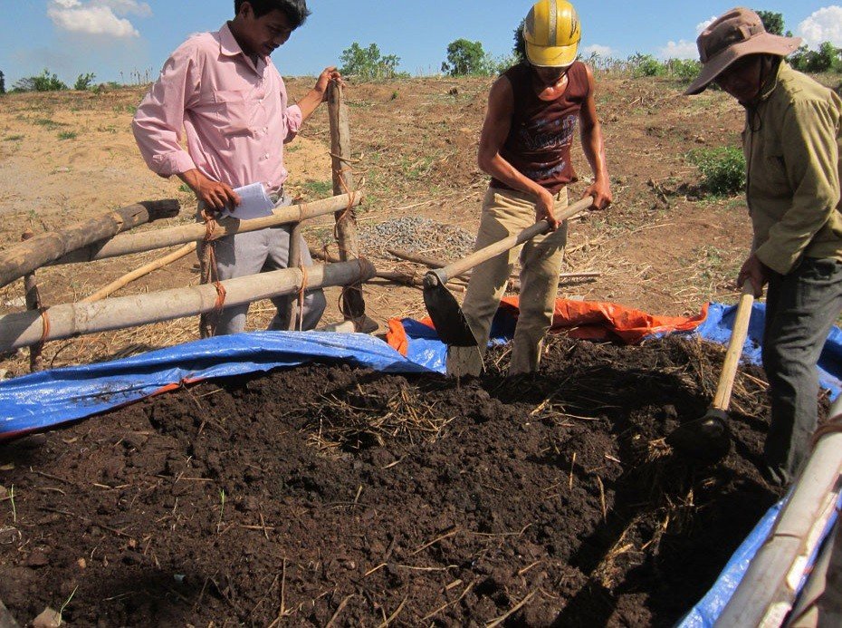 Tuyệt chiêu xử lý phân bò bằng phương pháp ủ nóng đơn giản cho bà con 3