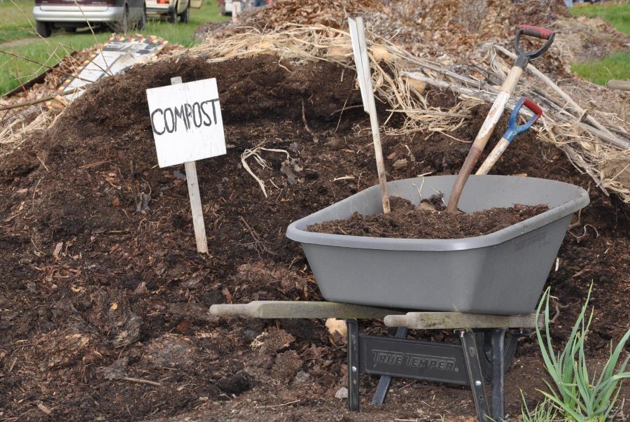 Tuyệt chiêu xử lý phân bò bằng phương pháp ủ nóng đơn giản cho bà con 1