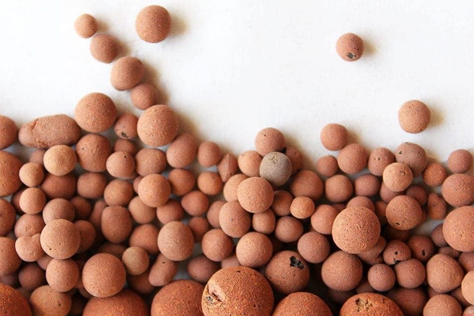 công dụng của viên đất nung trồng cây 3