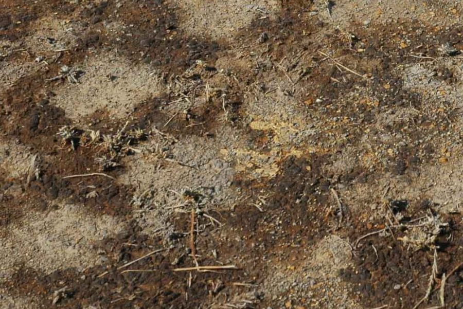 cải tạo đất chua bằng vôi bột 2