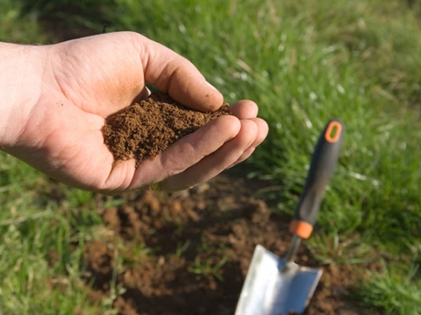 kỹ thuật cải tạo đất chua 1