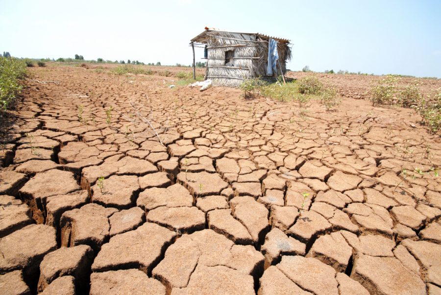 kỹ thuật cải tạo đất mặn