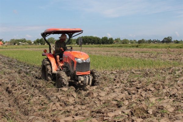 kỹ thuật cải tạo đất phèn 2