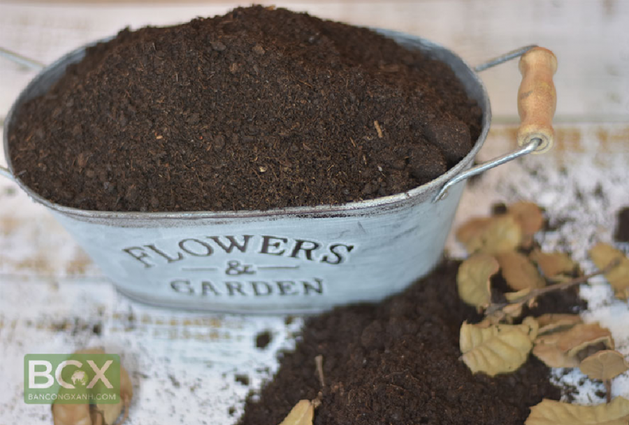 vai trò của phân bò trong cải tạo đất trồng