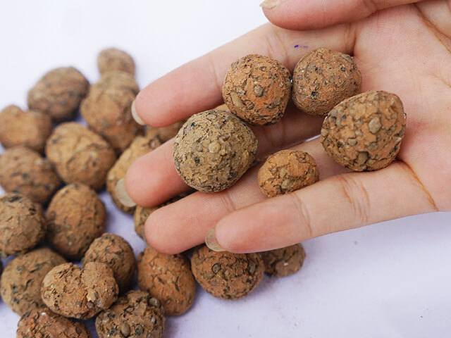 vai trò của viên đất nung trong cải tạo đất trồng 1