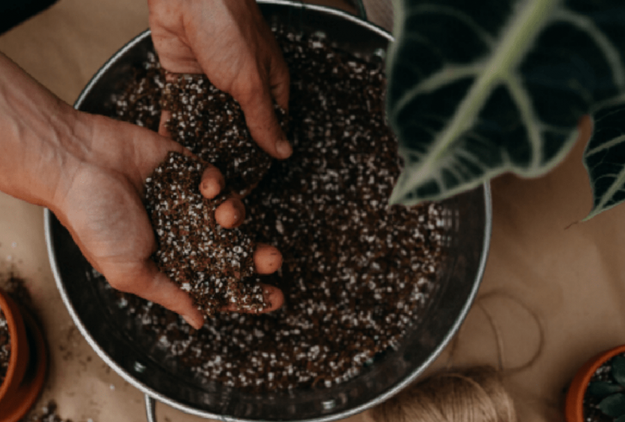 vai trò của đá perlite trong cải tạo đất trồng