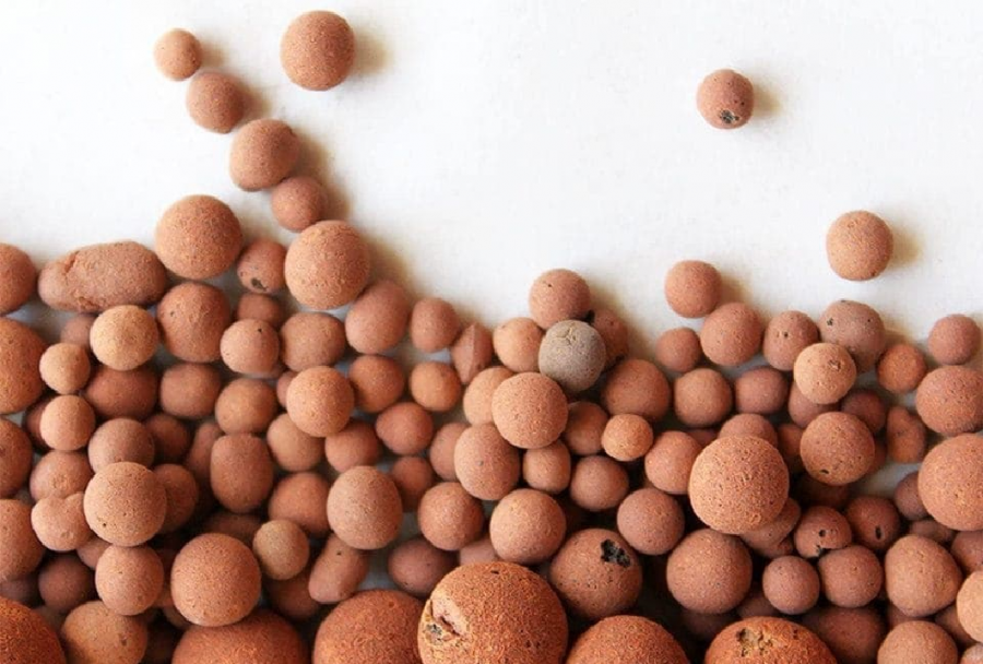 viên đất nung trồng cây monstera 1