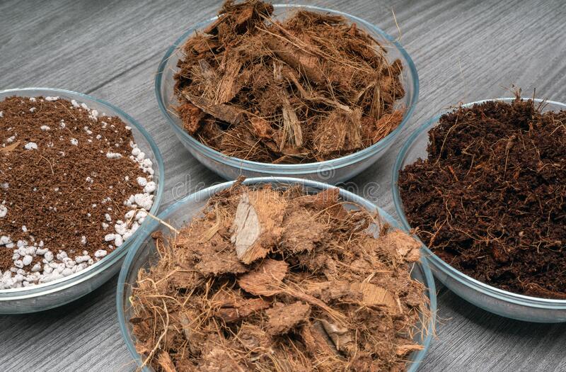 Giá thể xơ dừa trồng lan có công dụng gì 2