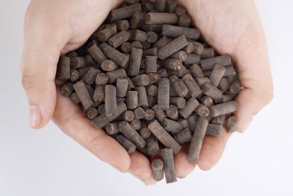 Khái niệm phân trùn quế dạng viên và cách sử dụng 1