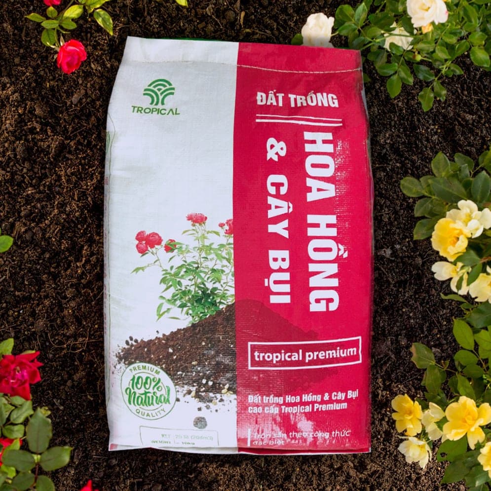 Những điều cần biết về đất trồng hoa hồng 3