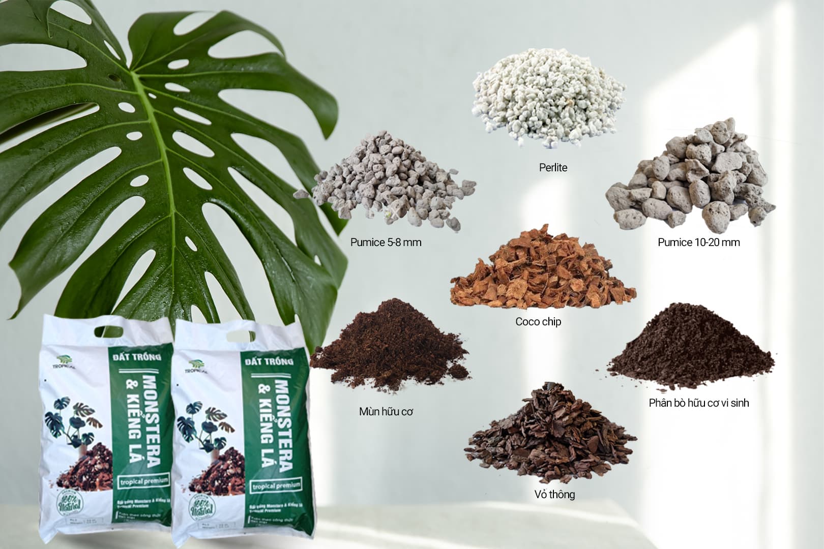 Đất trồng Monstera Tropical Premium 1