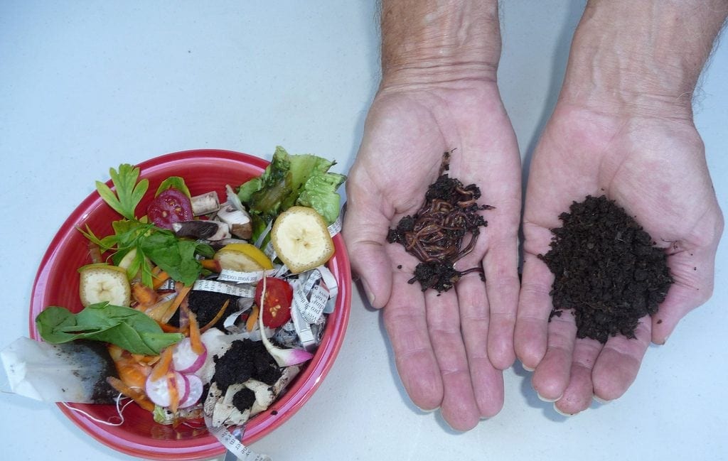 Hướng dẫn ủ phân trùn quế bằng rác thải nhà bếp 3