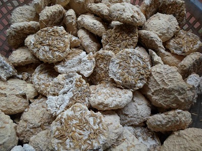 Men rượu là gì? Quy trình làm men rượu đúng chuẩn 2