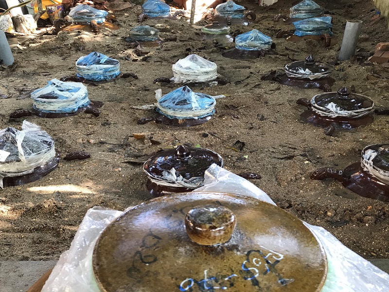 Tìm hiểu quy trình làm rượu nếp cái hoa vàng hạ thổ 3